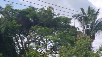 Lote comercial la PEÑITA-KIKIS